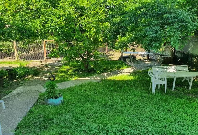 پانسیون Odo's House In Tsinandali