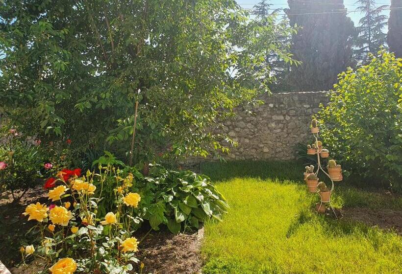 پانسیون Odo's House In Tsinandali