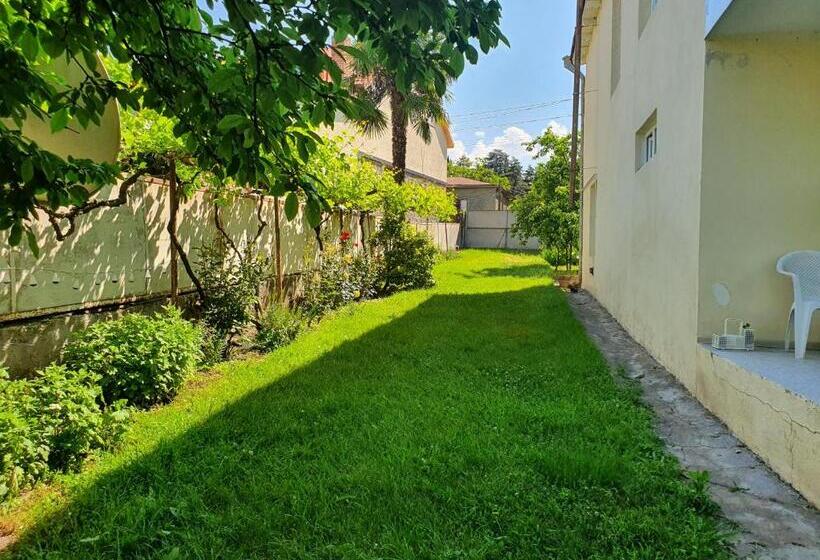 پانسیون Odo's House In Tsinandali