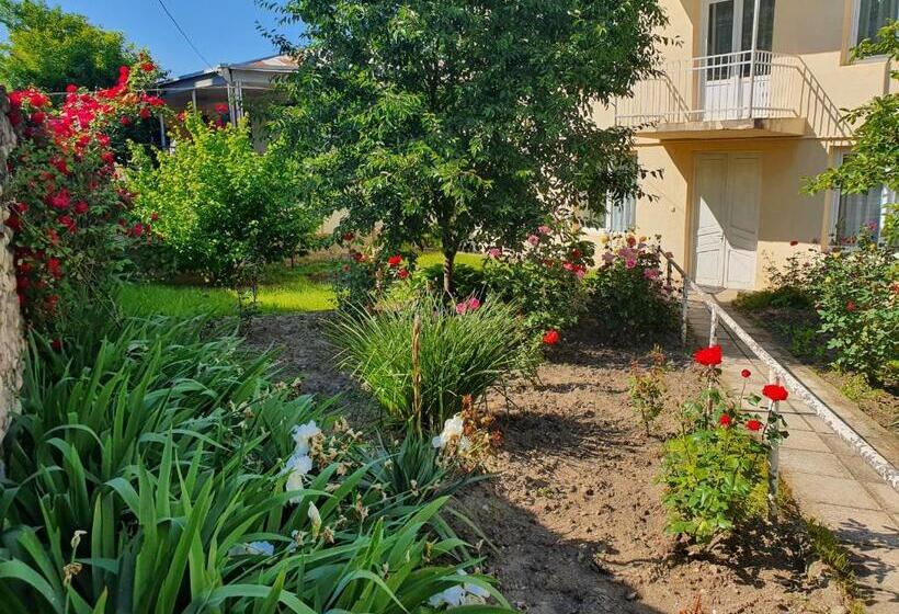 پانسیون Odo's House In Tsinandali