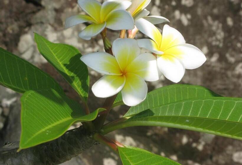 پانسیون Remo E Berenice