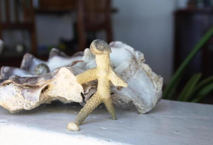 پانسیون Remo E Berenice