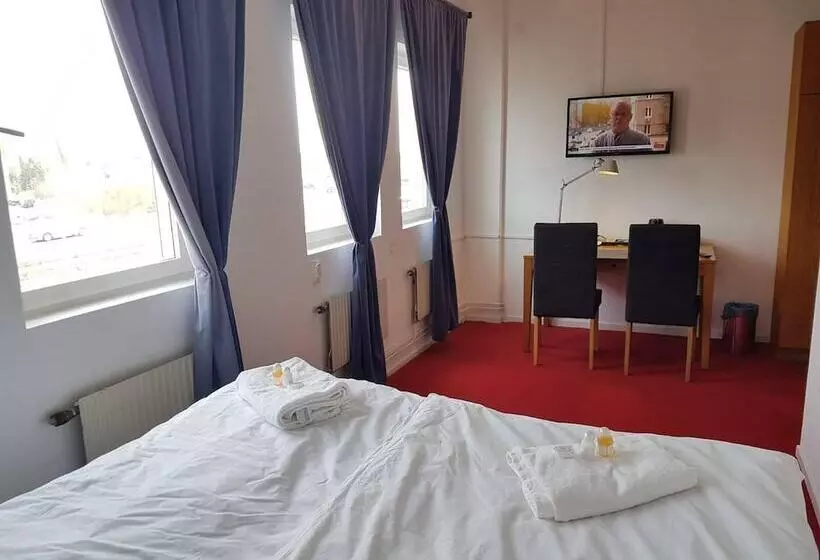 Vandrarhem Patrician