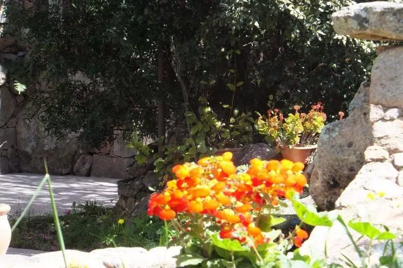 Aamiaismajoitus (B&B) Les Chambres De L Hôte Antique