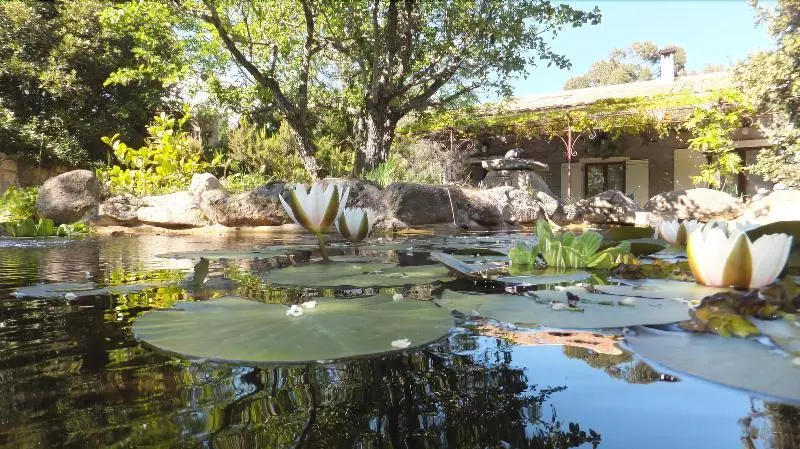 Aamiaismajoitus (B&B) Les Chambres De L Hôte Antique