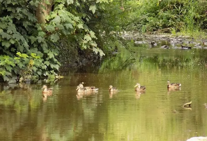 Hostelli Flynns Of Termonfeckin