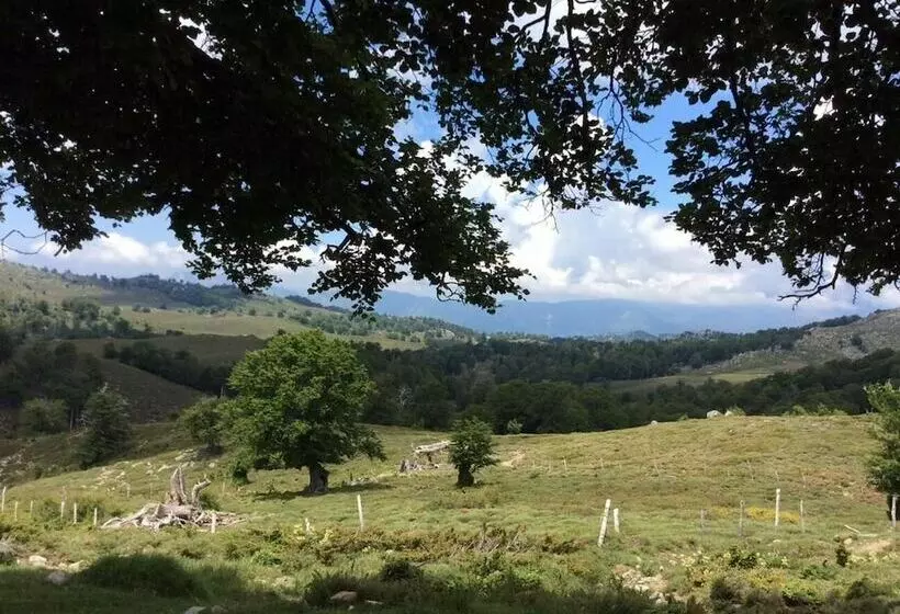 پانسیون Chambre D Hôte Le Paradis