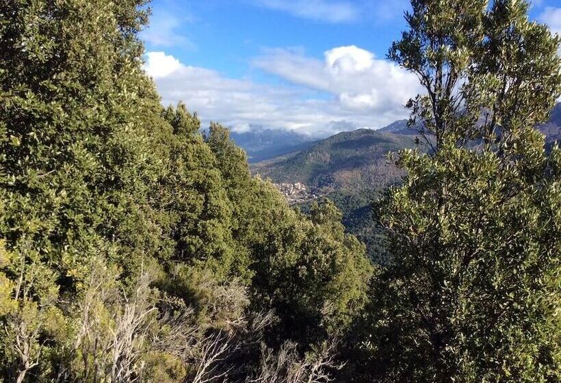 פנסיון Chambre D Hôte Le Paradis