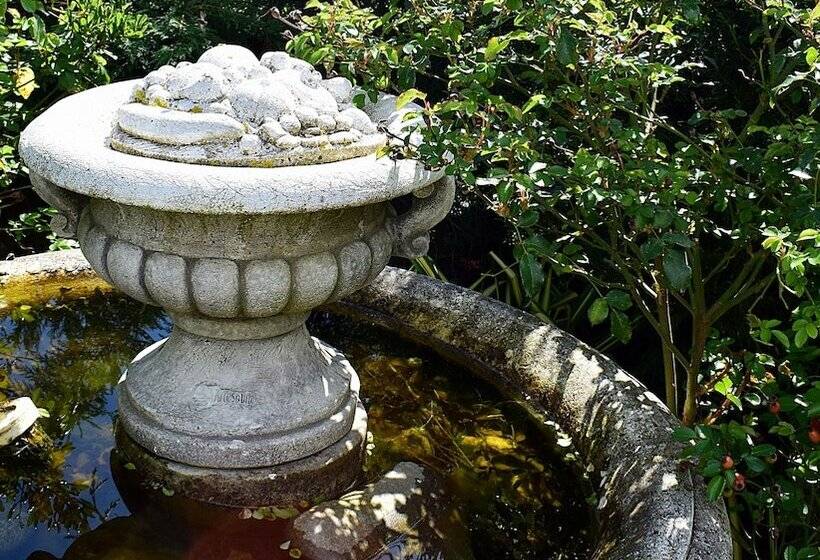 بنسيون La Magie Des Rêves