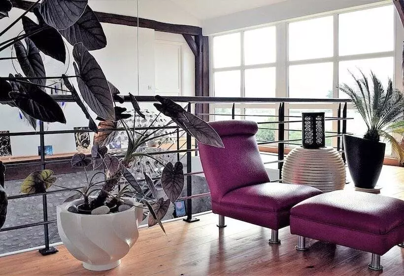 Majatalo La Magie Des Rêves