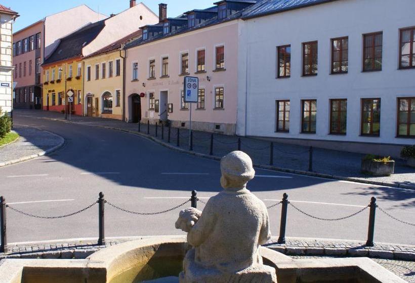 ペンション Penzion U Pasacka