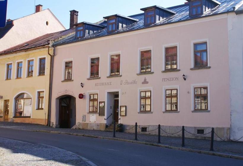 ペンション Penzion U Pasacka
