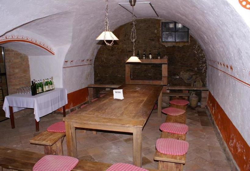 ペンション Penzion U Pasacka