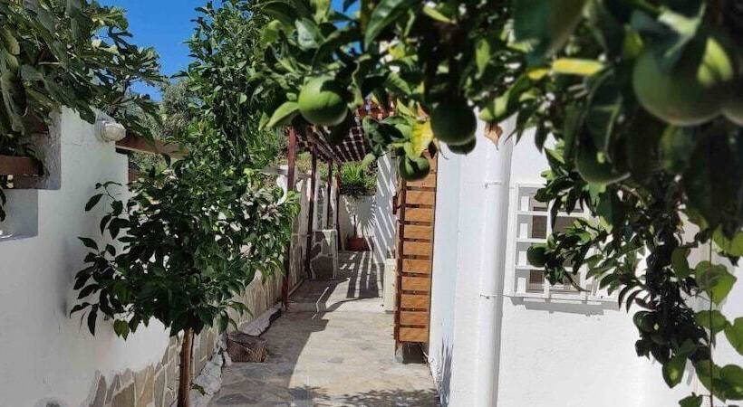 膳宿费 Skiathos Holiday Resort