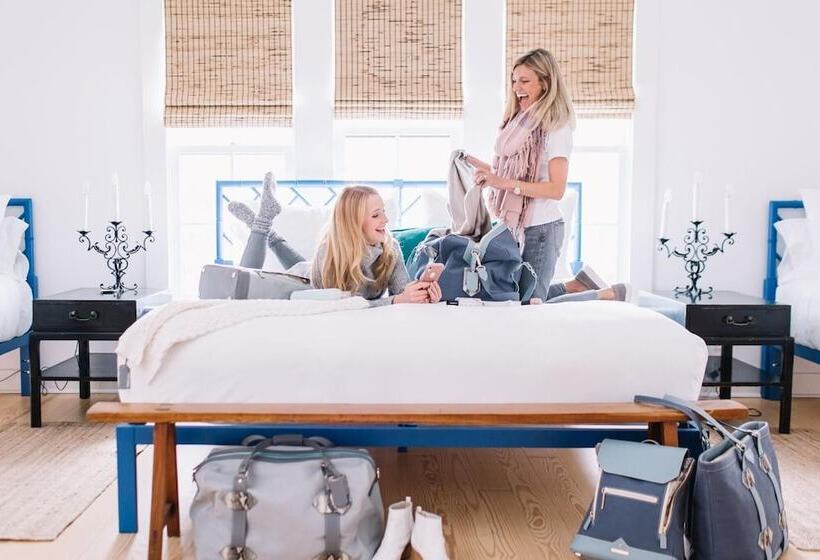 بنسيون The Frenchie