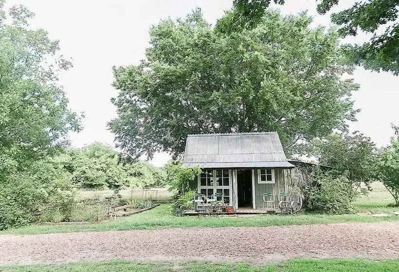 Majatalo The Frenchie