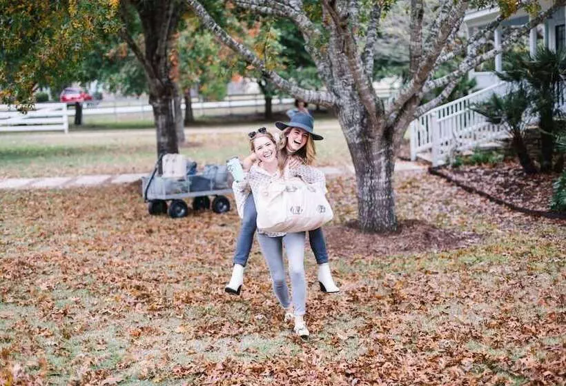 Majatalo The Frenchie