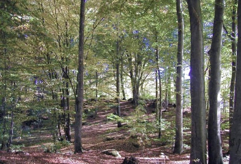 פנסיון Villa Siesta