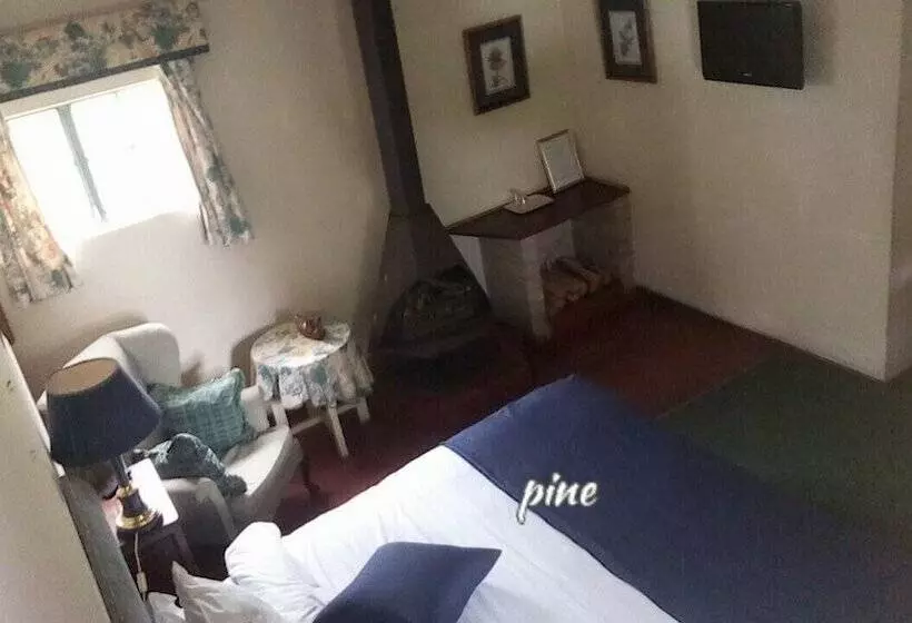 Pine Tree Inn