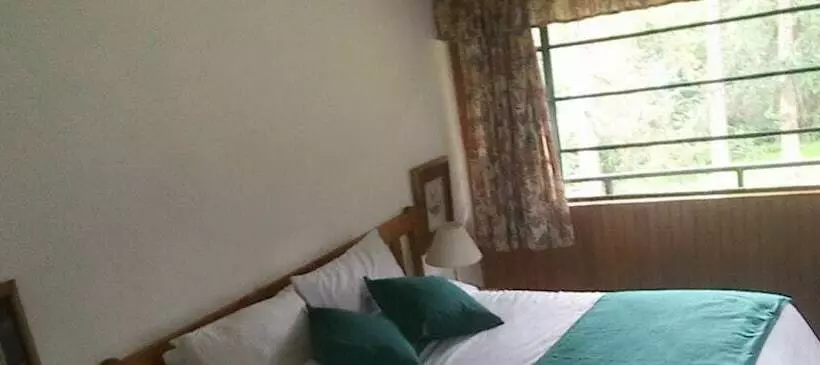Pine Tree Inn