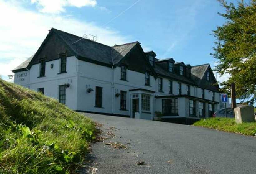 The Forest Inn
