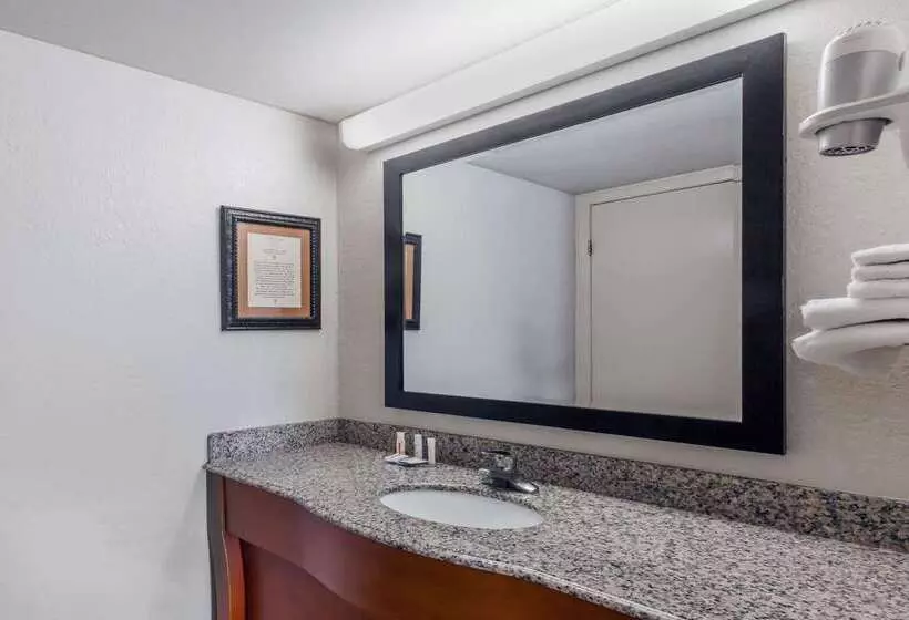 호텔 Baymont By Wyndham Pigeon Forge Near Island Drive