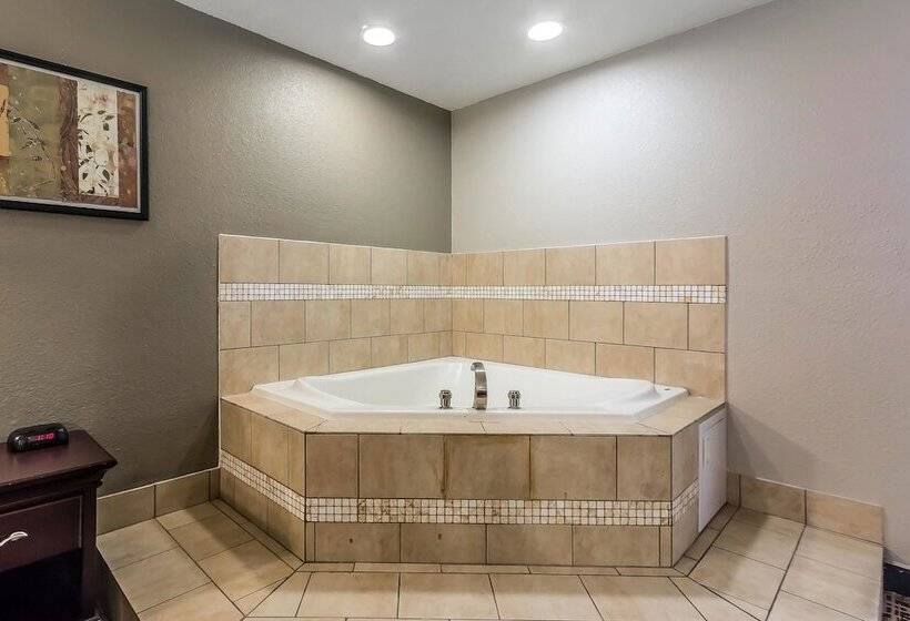 Otel Econo Lodge Bowling Green