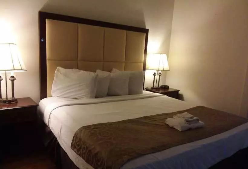 酒店 Historic Mardi Gras Inn