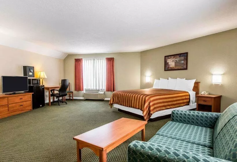 酒店 Rodeway Inn San Clemente Beach