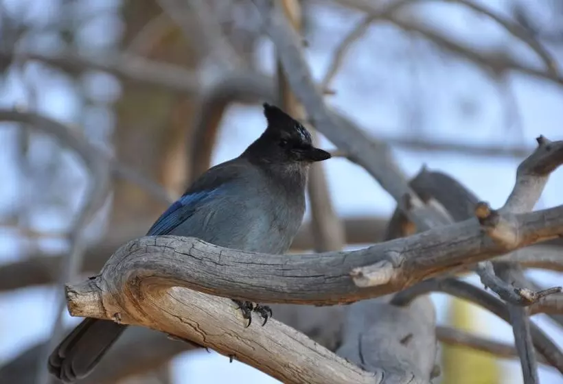 Mourelatos Lakeshore Resort