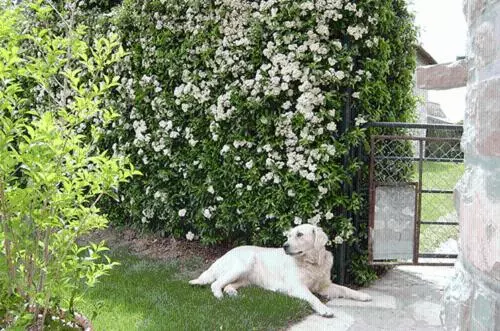 ペンション Casa Campo