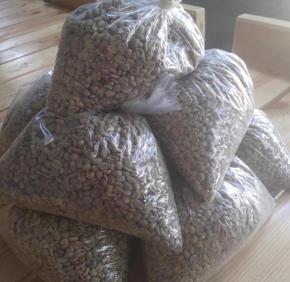 پانسیون Ciza E Rose