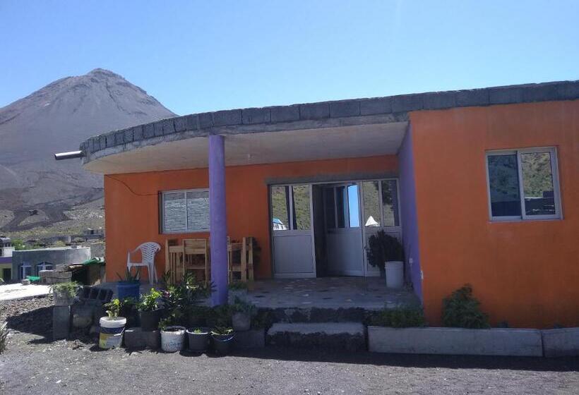 پانسیون Ciza E Rose