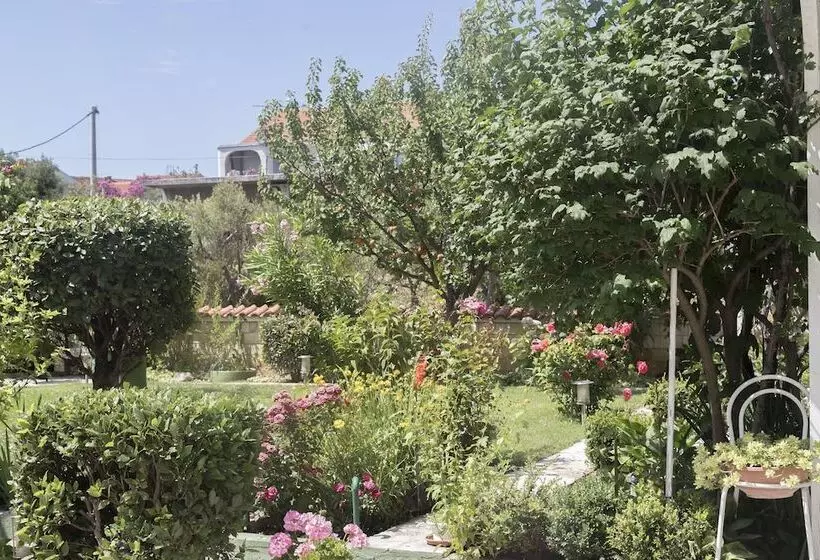 Apartments Zanze