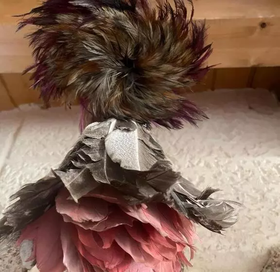 هتل Posada El Museo