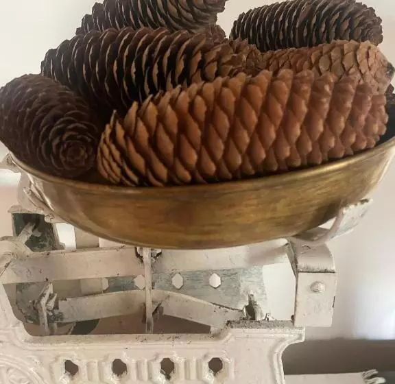 هتل Posada El Museo