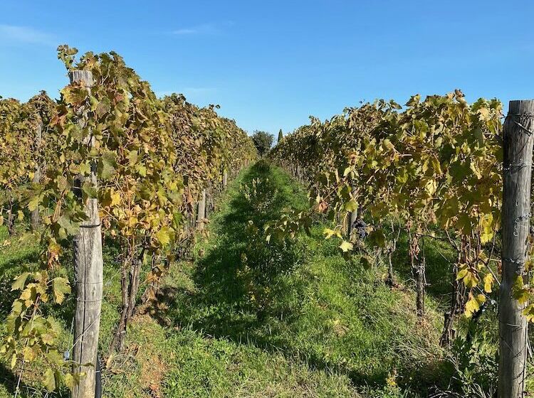 צימר Relais San Filippo In Sogaglia