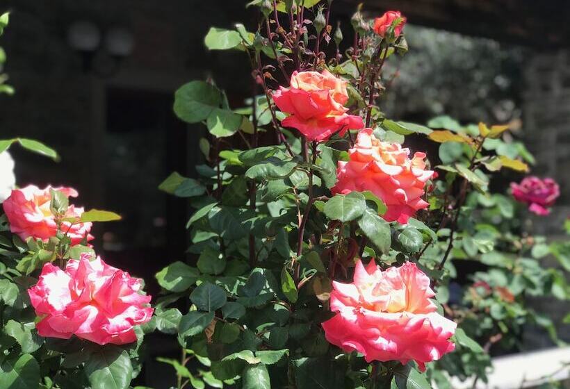 צימר Relais San Filippo In Sogaglia