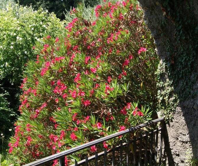 צימר Relais San Filippo In Sogaglia