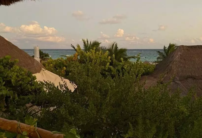 هتل Pancho Villa Tulum