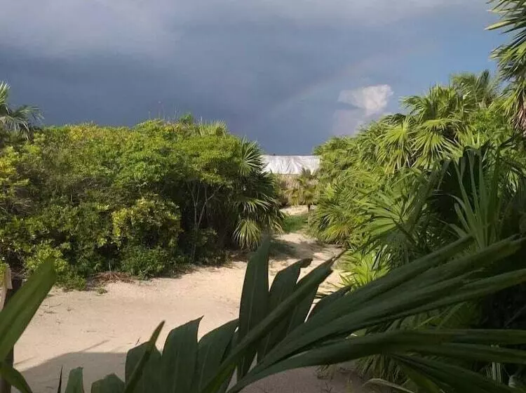 هتل Pancho Villa Tulum