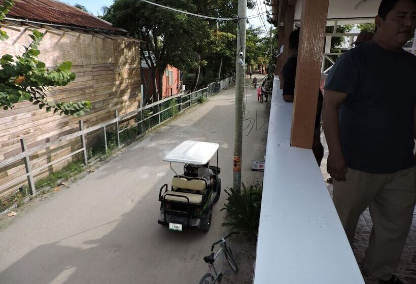 فندق Wild Panther S Guest House & Hostel