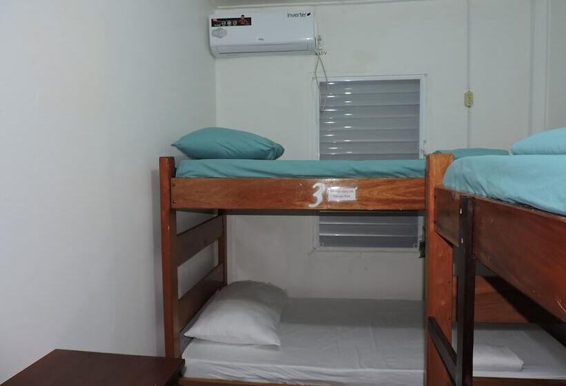 فندق Wild Panther S Guest House & Hostel