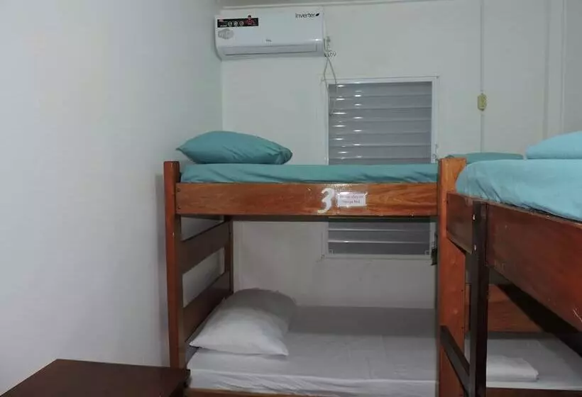 ホテル Wild Panther S Guest House & Hostel