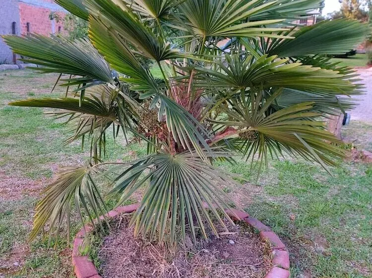 Majatalo Estalagem Da Serra