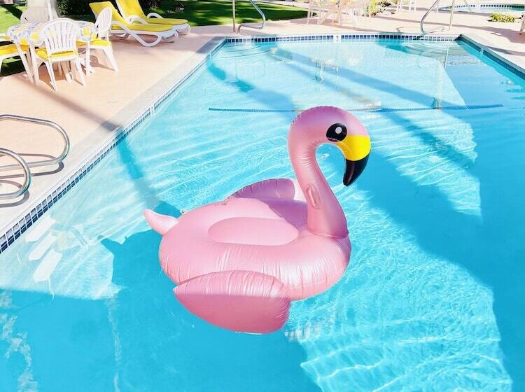 A Place In The Sun Hotel   Adults Only Big Units, Privacy Gardens & Heated Pool & Spa In 1 Acre Park