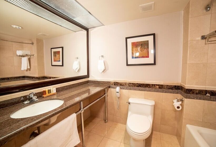 호텔 Oxford Palace