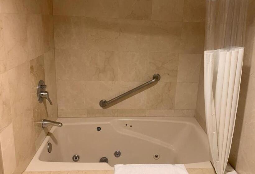 호텔 Oxford Palace