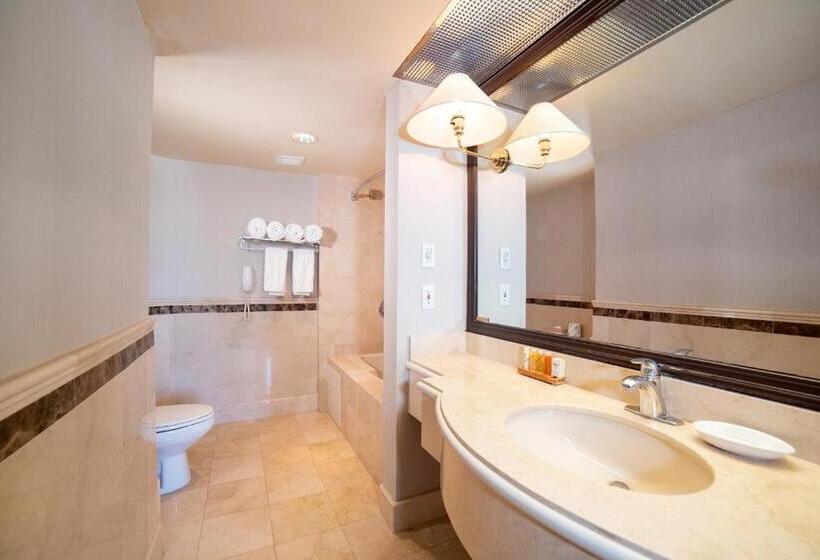 호텔 Oxford Palace