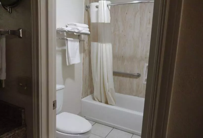 ホテル Pearsall Executive Inn